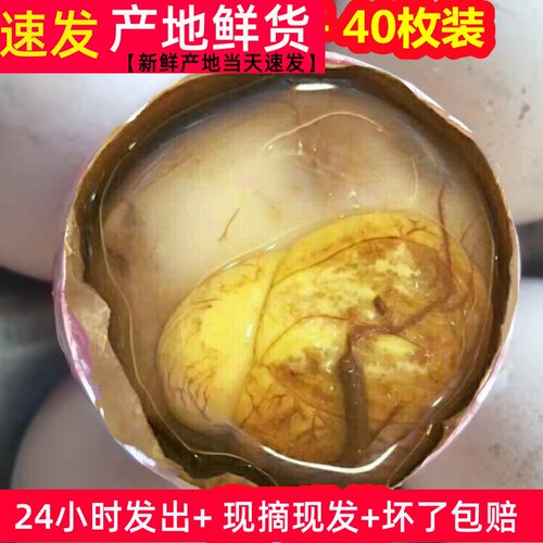生的40枚新鲜13天活珠子】新鲜鸡胚蛋生钢化蛋生毛蛋生毛鸡蛋包邮