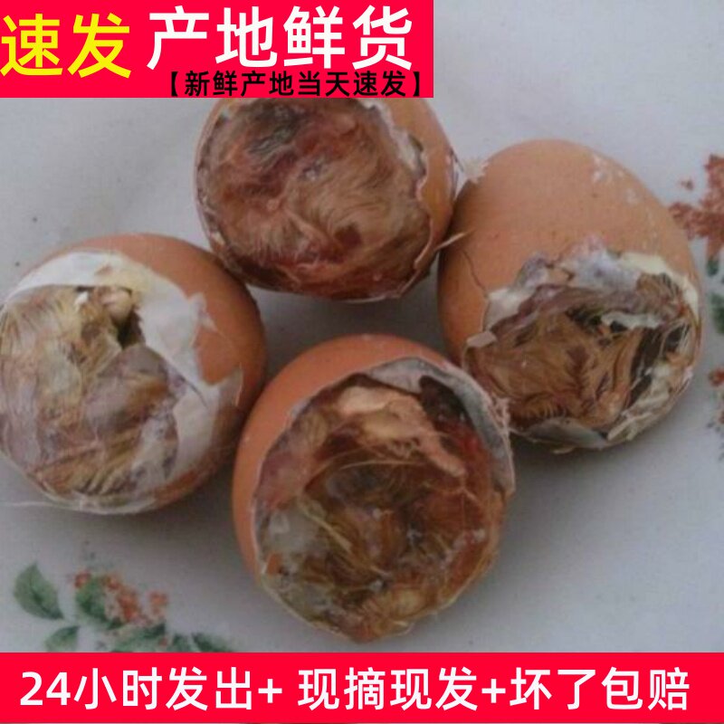 顺丰生蛋)18天上孵化鸡蛋40枚新鲜食用山东农家烧烤食材毛蛋喜蛋
