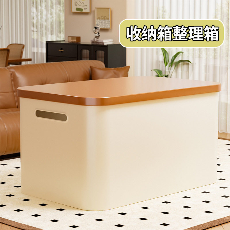 杂物收纳箱带盖家用零食玩具桌面