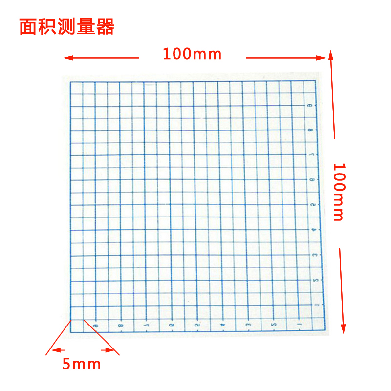 面积测量器透明小方格纸1厘米cm5mm10*10教学具仪器小学数学