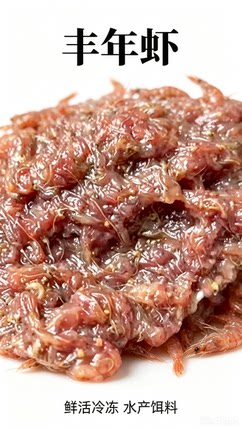 冰冻丰年虾 观赏鱼饲料 孔雀鱼斗鱼金鱼开口粮 免孵化无菌高蛋白