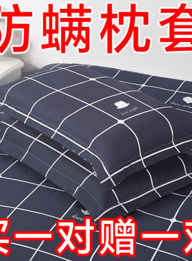 特价枕头套枕套家用成人大号单个学生宿舍非纯棉全棉枕芯套74X48