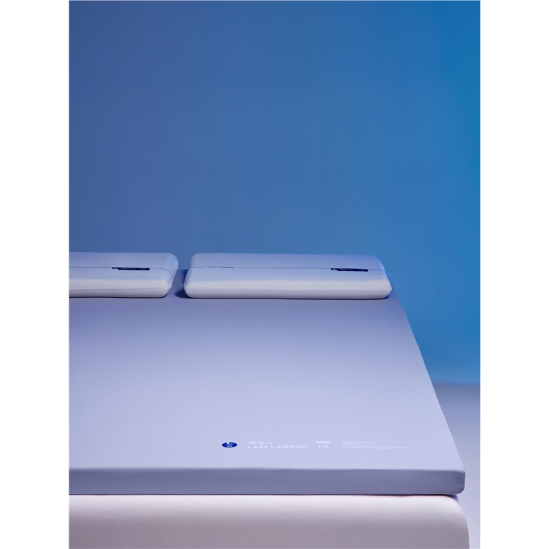 五星级酒店专用记忆棉床垫软垫家用卧室榻榻米垫子180x200床褥垫图片