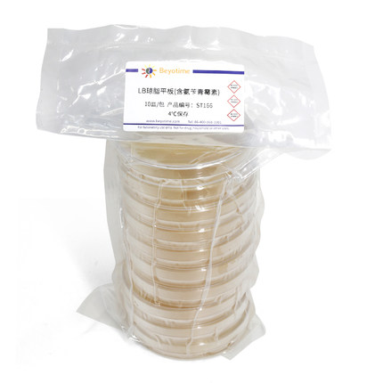 ST166 LB琼脂平板(含氨苄青霉素) 细菌培养基 碧云天生物