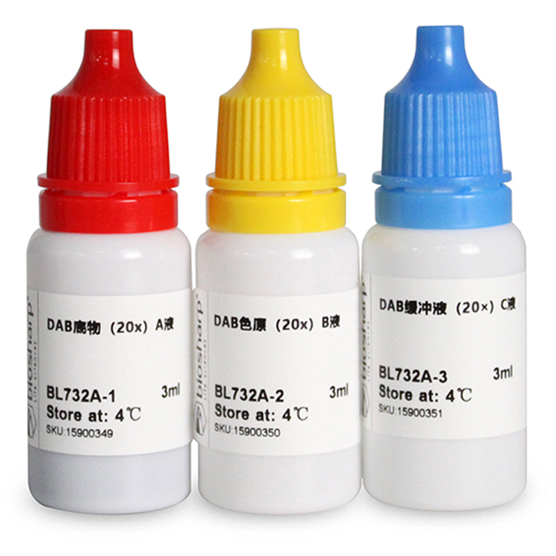 白鲨Biosharp BL732A DAB显色试剂盒(20×) 3×3ml