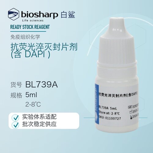 白鲨 Biosharp BL739A BL739B 抗荧光猝灭封片剂(含DAPI)