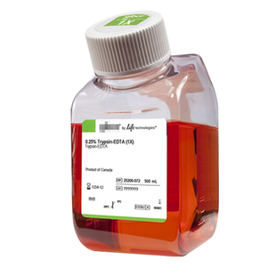056 072胰酶细胞消化液0.25%胰酶含EDTA含酚红 25200 GIBCO