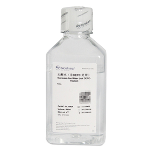 无酶无菌水 白鲨Biosharp 500ml 处理 非DEPC BL1040A 无酶水