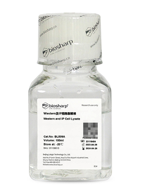 白鲨Biosharp BL509A Western及IP细胞裂解液 Cell lysate 100ml