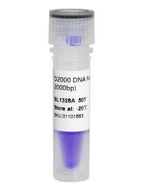 Biosharp BL1328A D2000 DNA Marker II 分子量标准(100-2000bp)