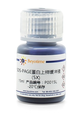碧云天 Beyotime P0015 P0015L SDS-PAGE蛋白上样缓冲液(5X)