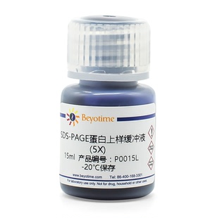 P0015L P0015 SDS PAGE蛋白上样缓冲液 碧云天 Beyotime