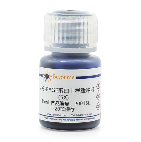 碧云天 Beyotime P0015 P0015L SDS-PAGE蛋白上样缓冲液(5X)