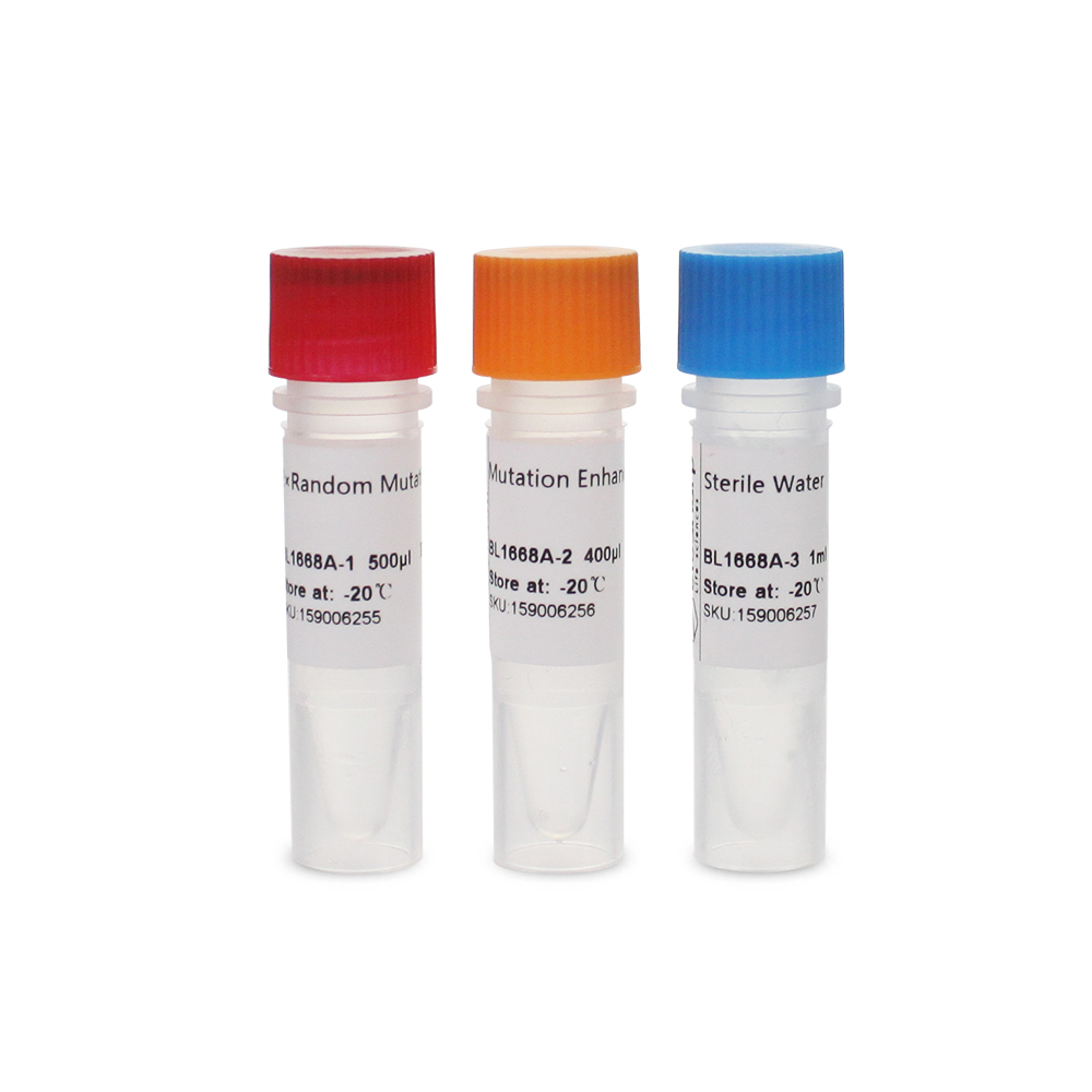 白鲨biosharp BL1668A Random Mutagenesis Kit随机突变试剂盒