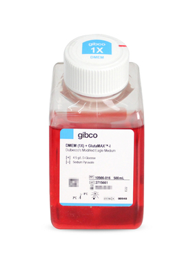 Gibco 10566-016 DMEM高糖培养基（含L-谷氨酰胺，不含丙酮酸钠）