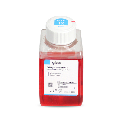 Gibco 10566-016 DMEM高糖培养基（含L-谷氨酰胺，不含丙酮酸钠）