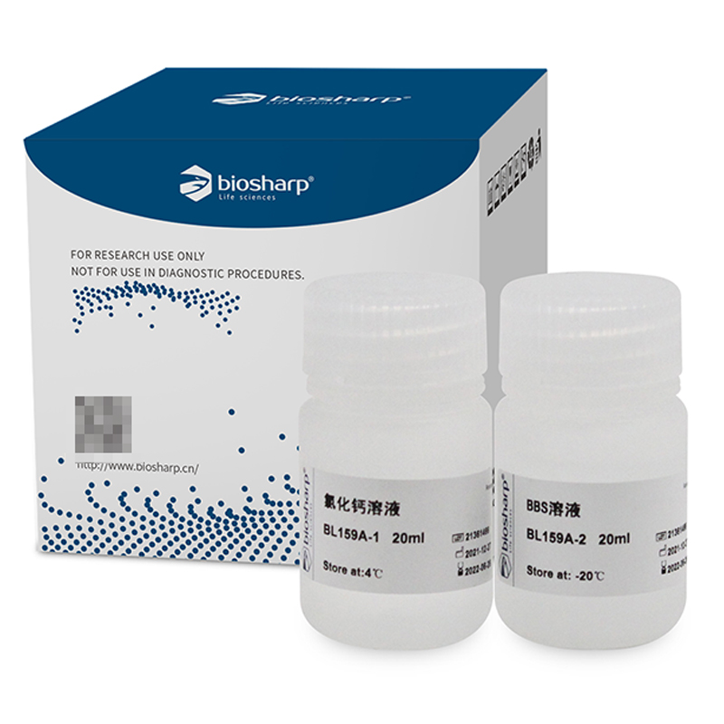 白鲨 Biosharp BL159A 磷酸钙法细胞转染试剂盒 200T