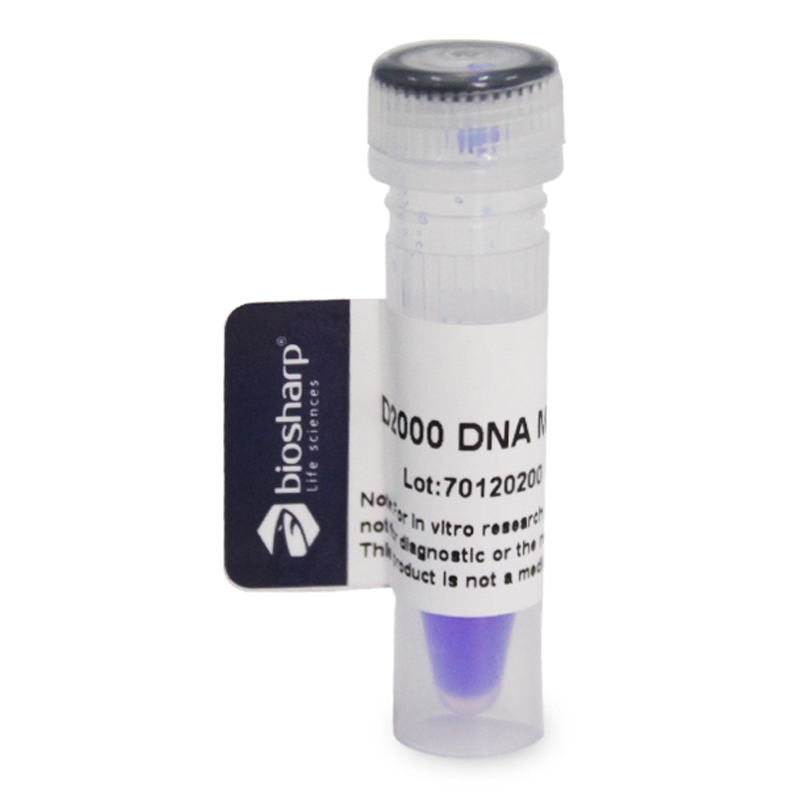 白鲨Biosharp BL102A D2000 DNA Marker 分子量标准(100-2000bp)