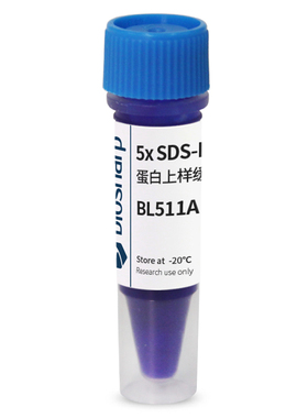 白鲨 BL511A BL511B 5xSDS-PAGE蛋白上样缓冲液变性非还原性