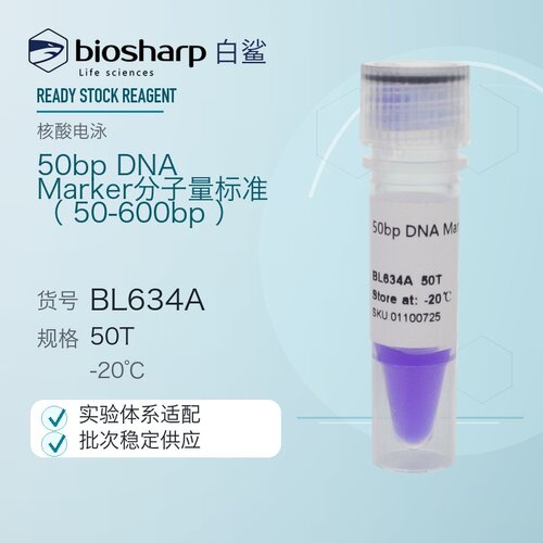 白鲨Biosharp BL634A 50bp DNA Marker 分子量标准（50-600bp）