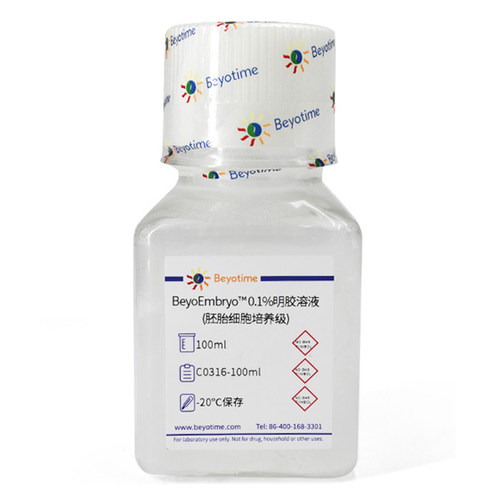 碧云天Beyotime C0316 BeyoEmbryo™ 0.1%明胶溶液胚胎细胞培养级
