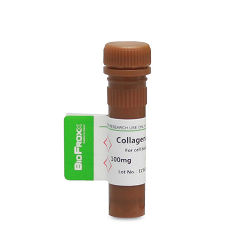 胶原酶II型Collagenase II 2-8度 2275MG100 2275GR001 Biofroxx