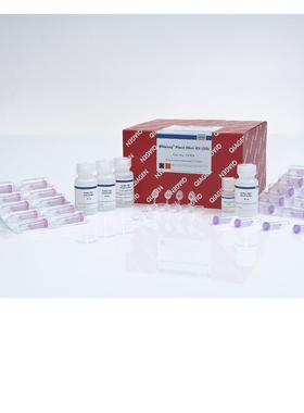 Qiagen 74904 植物总RNA小提试剂盒 RNeasy Plant Mini Kit 50T