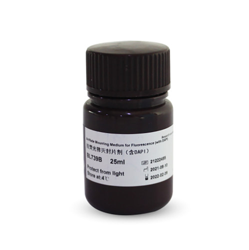 白鲨 Biosharp BL739A BL739B 抗荧光猝灭封片剂(含DAPI)