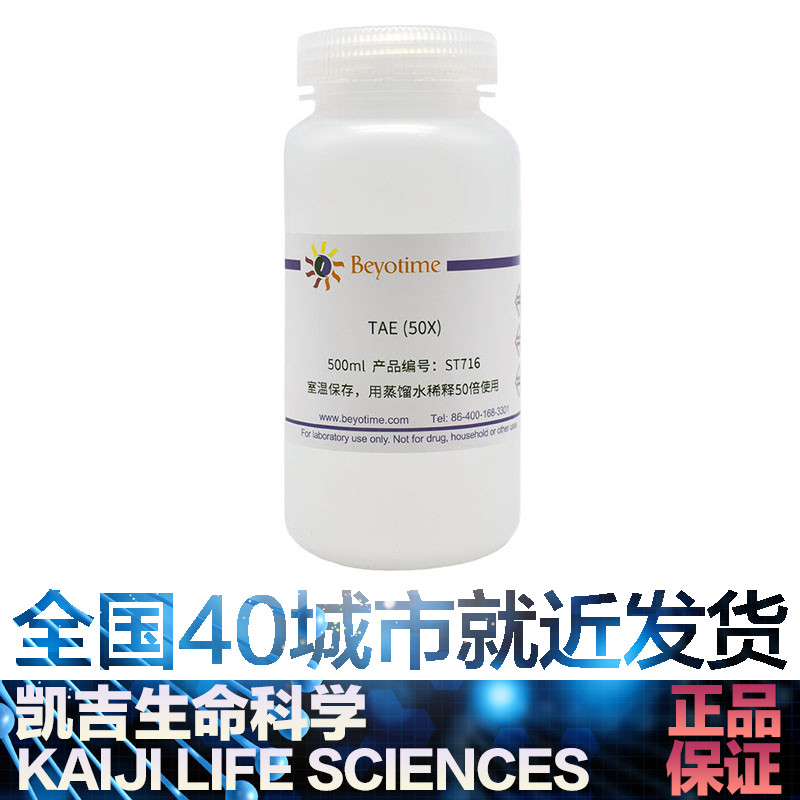 碧云天Beyotime ST716 TAE Tris乙酸盐EDTA缓冲液(50X) 500ml