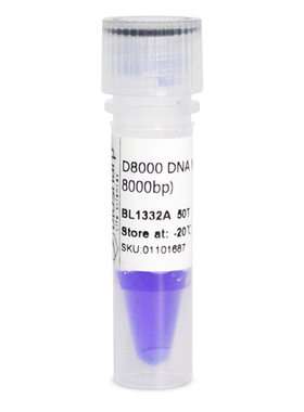 白鲨Biosharp BL1332A D8000 DNA Marker 分子量标准(100-8000bp)