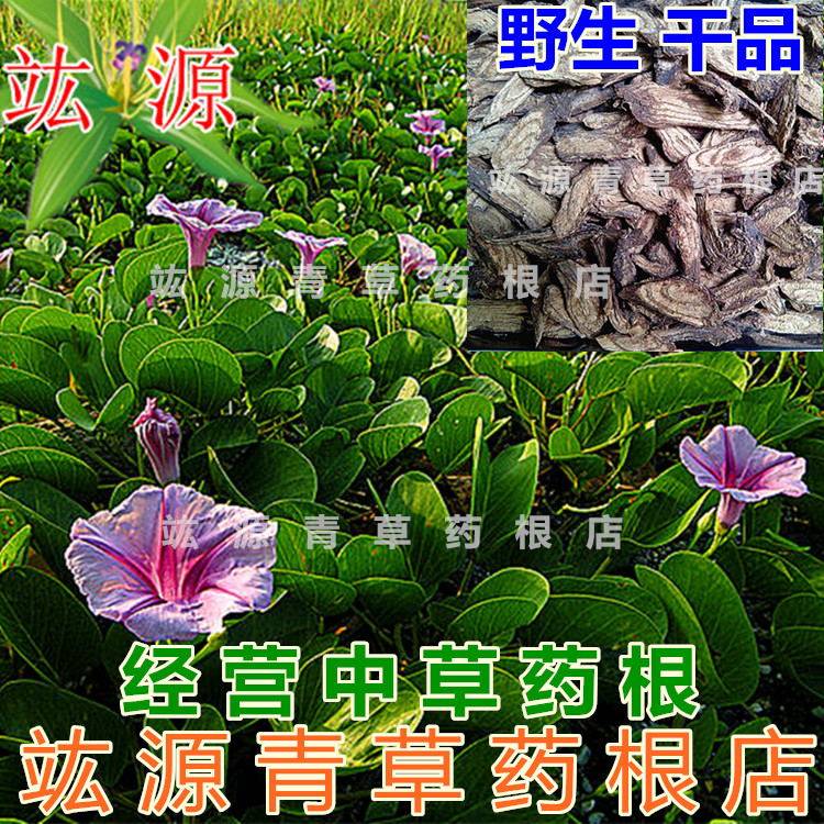 竑源青草药根店 野生 马鞍藤头 兔藤头  鲎脚藤头 二叶红薯 厚藤