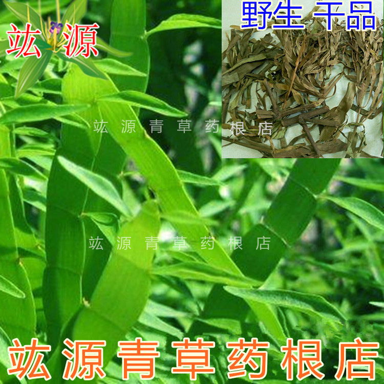 竑源青草药根店 中草药 野生飞天蜈蚣草 竹节蓼 芽江草 飞天蜈蚣
