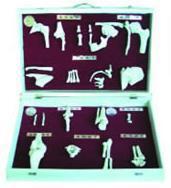 人体关节分类模型GD/A11212