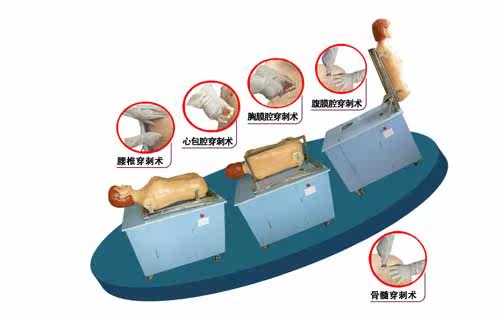 DF-C-Ⅱ型 全自动多种穿刺叩诊电脑模拟人/穿刺训练电脑模拟人