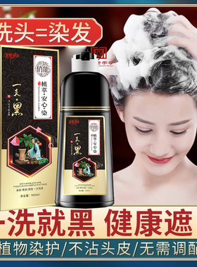 正品纯膏植物天然老人黑色泡泡染发剂自己在家不沾头皮一洗黑遮白