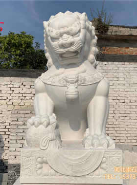 汉白玉石狮子一对庭院看门家用石头狮子青石门口装饰公司别墅摆件