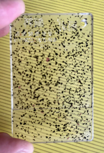 注塑七彩色母粒PE/PP/ABS通用高浓度白点彩配色耐高温环保认证