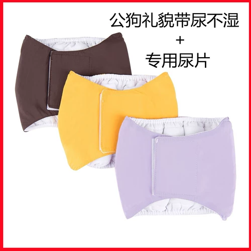 Мужские собаки специальные физиологические штаны плюшевые золотые поглощение волос подгузники собачья пояс Большая собачья эстральная вежливость с бесплатной доставкой