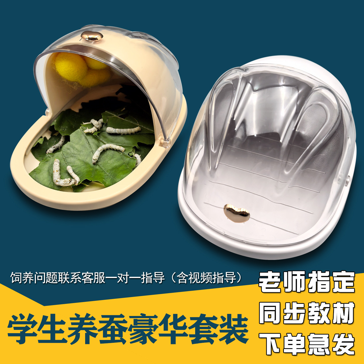 春蚕宝宝学生养蚕套装太空舱饲养箱活体幼虫蚕卵种嫩桑叶新鲜彩色