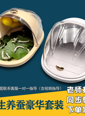 蚕宝宝太空舱学生养蚕套装饲养箱