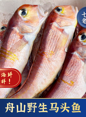 舟山鲜冻渔船到货马头鱼