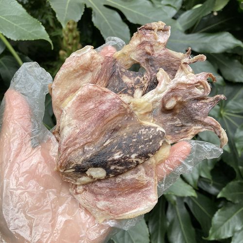 舟山本地小墨鱼自晒乌贼墨鱼鲞