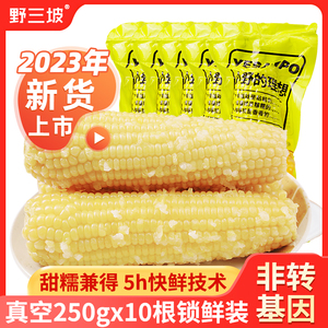 野三坡23年新鲜采摘黄糯玉米白糯玉米10棒真空粘糯玉米苞米旗舰店