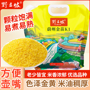 野三坡黄小米5斤河北蔚县金苗k1优质农家新米五谷杂粮主食煮粥