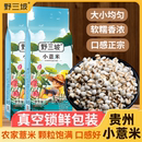 新鲜贵州小薏米新货薏米仁薏仁米苡仁五谷杂粮粗粮油5斤 真空装