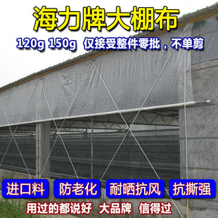 佛山海力牌大棚布白单防透光布 大棚膜防雨防水篷布保温布保温膜