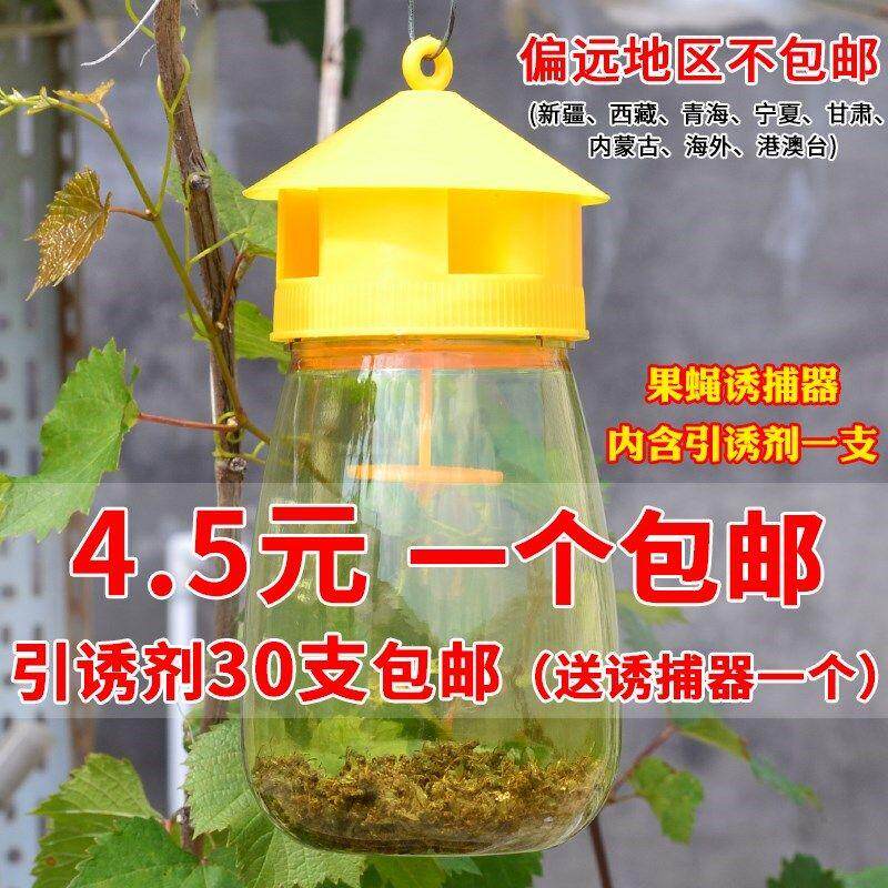 果蝇诱捕器果园菜地瓜果实蝇针蜂  果蝇引诱剂内含捕抓器诱剂包邮|ruв категории доставка цветов/цветок моделирования/растения садоводства, садовых принадлежностей, других садовых принадлежностей - от Buy2taobao.com для оказания профессиональной услуги покупки агента Taobao
