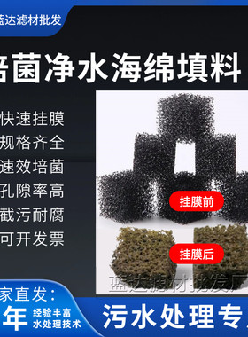 污水净化挂膜培菌海绵填料
