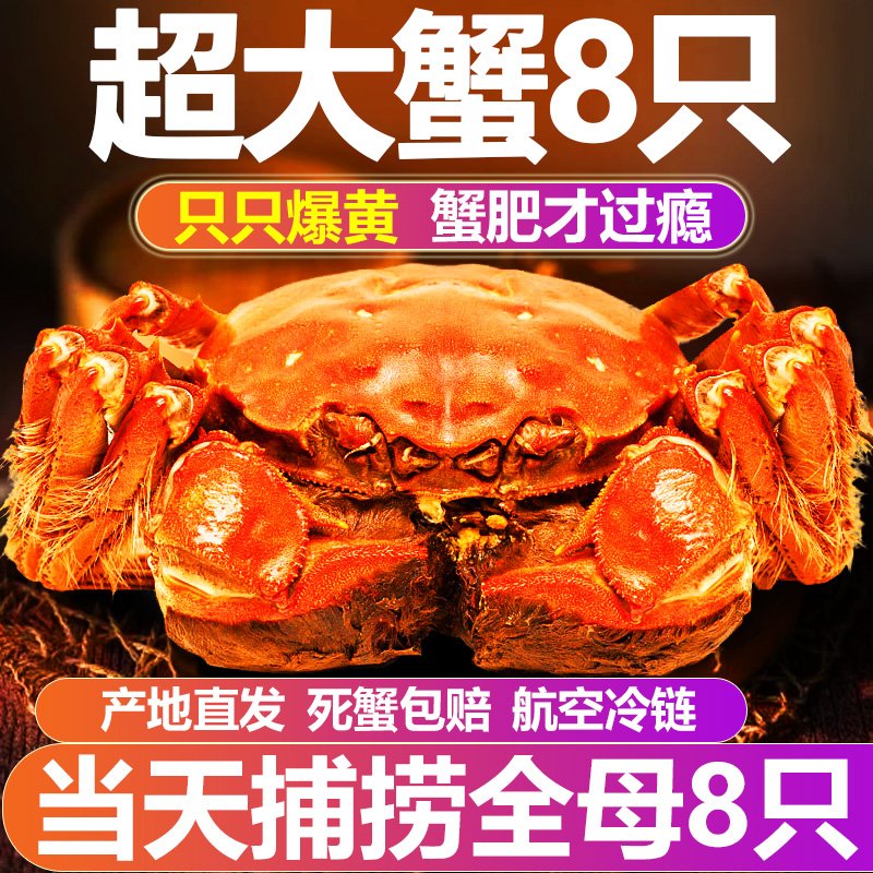 全母苏州螃蟹鲜活大闸蟹礼盒装全母蟹新鲜河蟹8-12只可公母蟹湖蟹