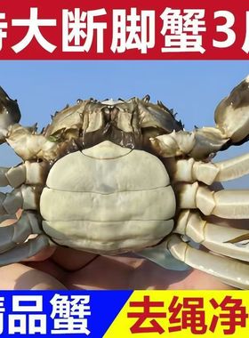 净重3斤1斤缺腿断腿蟹残次蟹残蟹大闸蟹现货鲜活公母螃蟹全母特大